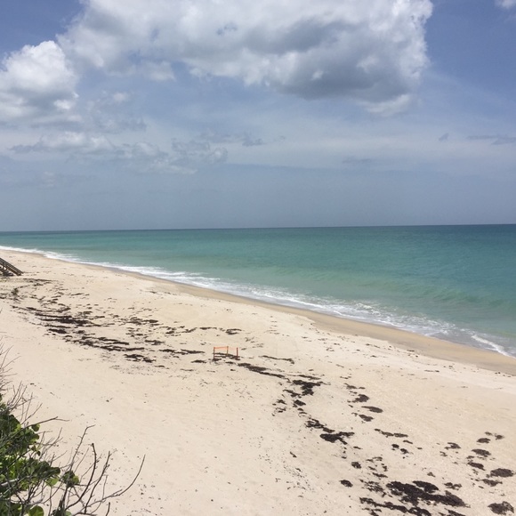 Meet your Posher, Tawn - Picture 1 of 1